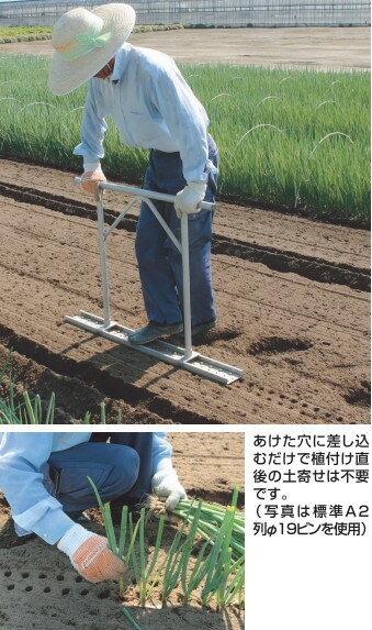 �ϥ�å��� Ĺ�ͥ��꿢�ѷꤢ���� �ͥ������å� 1�򿢥����� N-140S-22 ��J �Ŀ��������Բ� ����Բ�