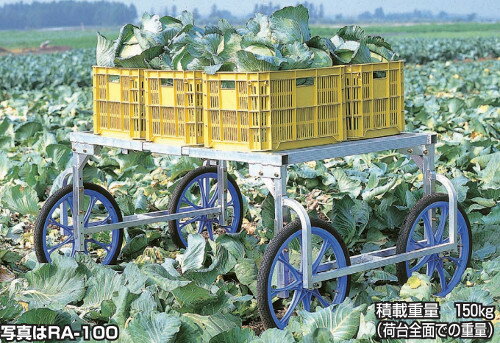 �ϥ�å��� ����Ϻ ����� �� ������� RA-100 ��J �Ŀ��������Բ� ����Բ�