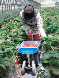 �ϥ�å��� ������� ��������������� �٥ꥳ�� VC-60 ��J �Ŀ��������Բ� ����Բ�