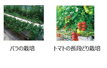 ���å����������� �䤵���Ϥʥ٥å� 8�� 75��300��910mm �̺��� ���ݤʤ� ���ܥ��å������� ��S �̳�ƻ�Բ� �Ŀ��������Բ� ����Բ�