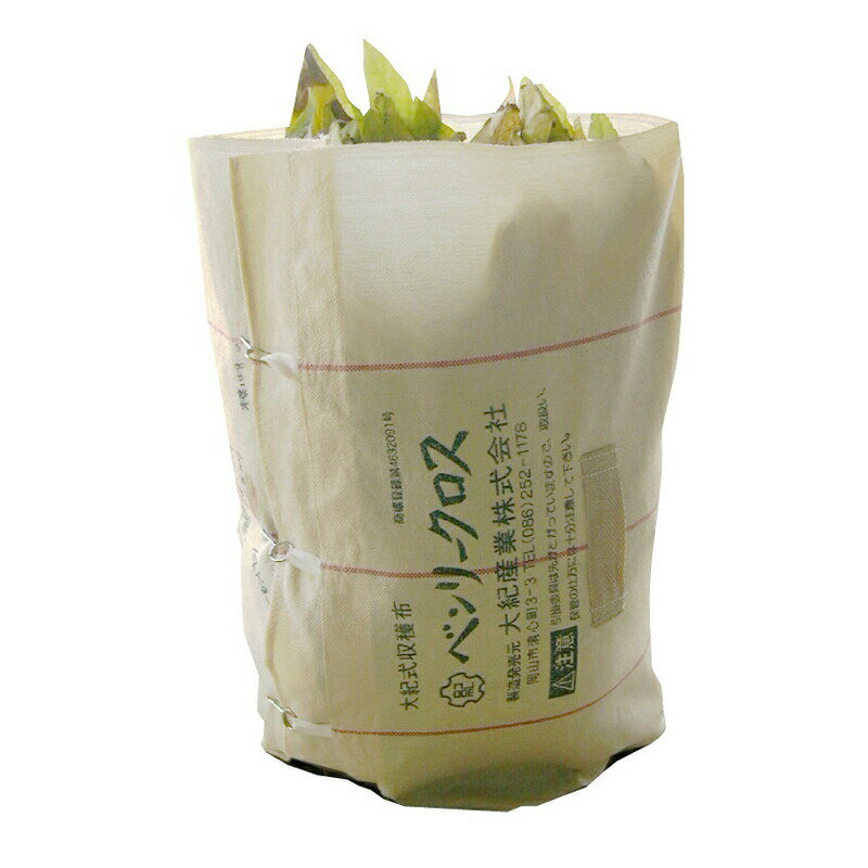 50�� ������ �٥�꡼������ �絪���� H1000��2100 �١����� ������ ���� �� ƻ�� ���� �̵��� �ե��Х� ���� ���� ���� ��� Ȫ�� �Ŀ��������Բ� ����Բ�