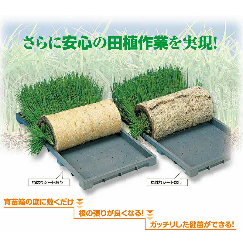 20���� 10�� �ͤϤꥷ���� �Ȥ��Τƥ����� ���ĥ����� ����Ȣ���� �߻� ����Ȣ ��Ȣ �� ������ ���� ��� ���� ��� 200�� ���Ȼ�� ���Ļ�� ��ʸ�� ��K DZ