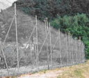 防風ネット 白 4mm 目合 幅 2m×50m ホワイト シンセイ 個人宅配送不可 代引不可