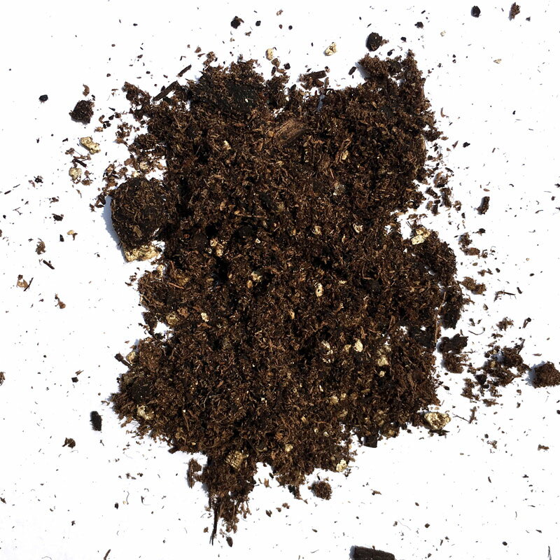 ���������� 10L��8�� ��ͥǡ��� �Х����ޥ������� 80L ������ ��S ����Բ�