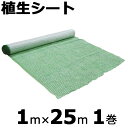 イ草縄（いぐさ、イグサ、い草）　太さ1.5分　約2.2kg/巻　【代引き不可】