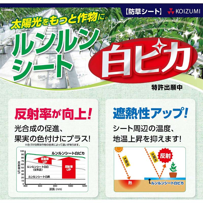 ����󥷡��� ��ԥ� ȿ��Ψ ���� ��Ǯ�� ���å� ȿ�͸��̤Τ��� ���𥷡��� ��4.0m��100m K�� �Ŀ��������Բ� ����Բ�