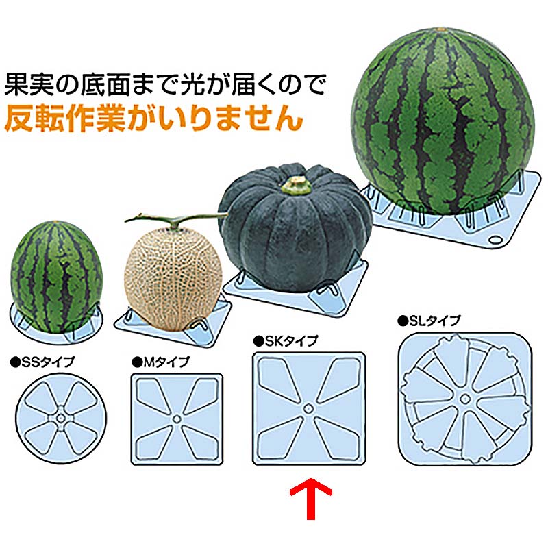 シンエツマットSK 南瓜 小玉西瓜用 145×145×H25 1600枚 スイカ カボチャ タS 代引不可