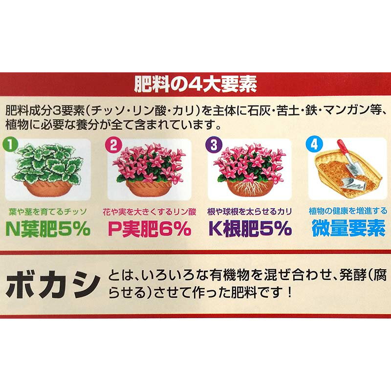 ����ȯ�ڥܥ������� 5-6-5 10kg �������120�� ��� �ܥ��� ���� ��С��ȥ�� ��S ����Բ�