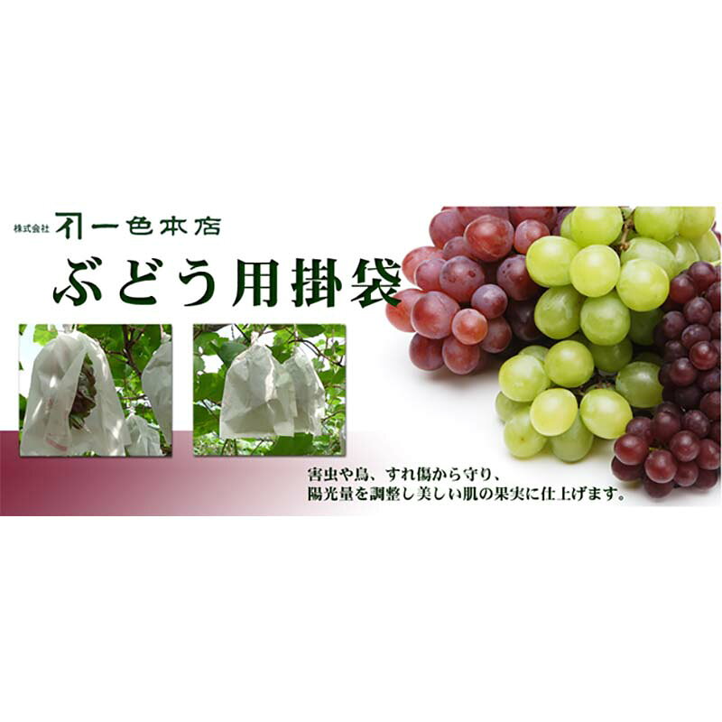 2500枚 果実袋 ブドウ ぶどう用掛袋 #3 一重袋 100-503-22 一色本店 個人宅配送不...