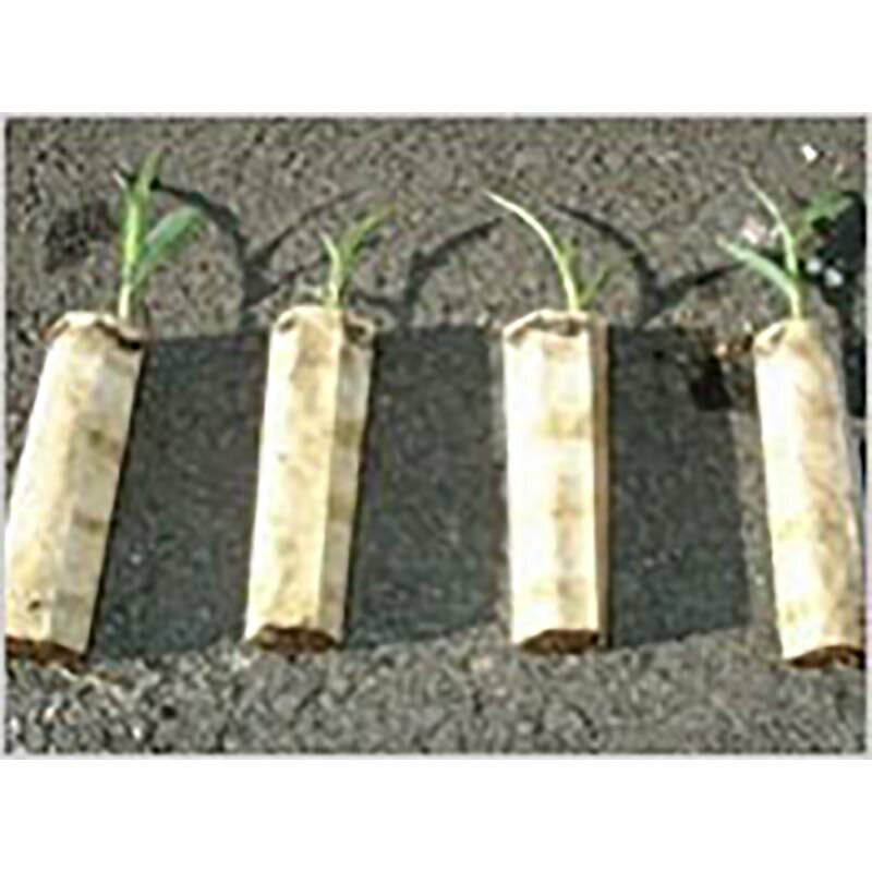 個人宅配送不可 120冊 ペーパーポット SM2300(7.5H) 300鉢分 2.3角×7.5高cm ニッテン タ種 代引不可