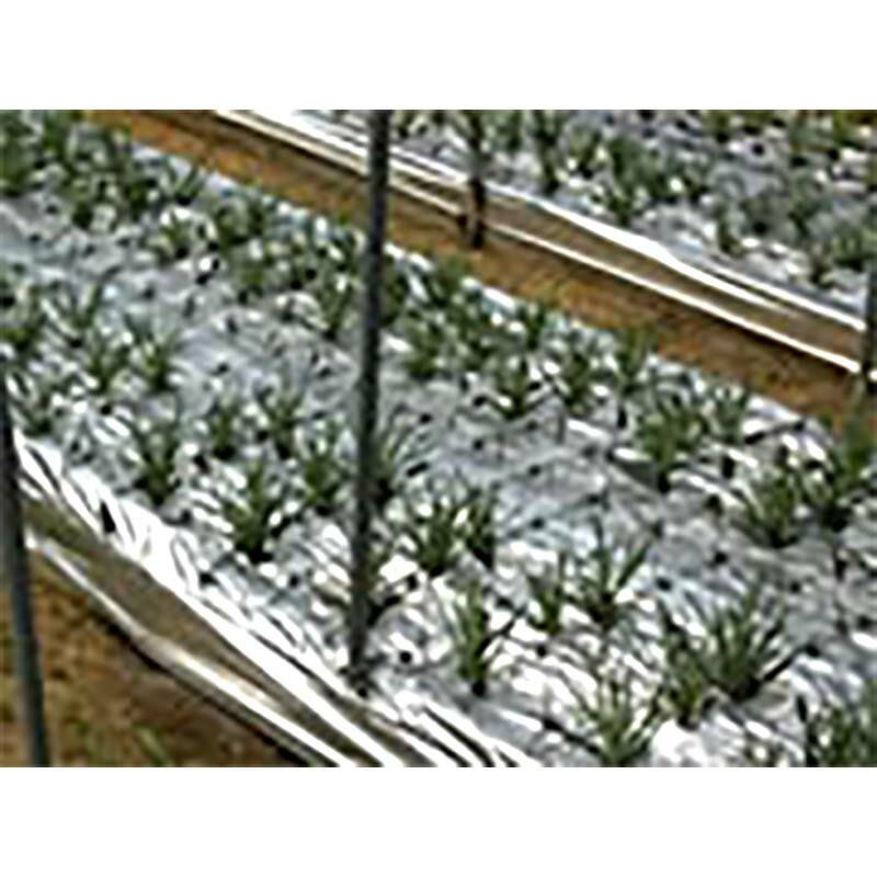 2本 ポリシャインマルチLL 無穴 0.03mm厚×950mm×200m エーアイシーテック カ施 北海道不可 代引不可