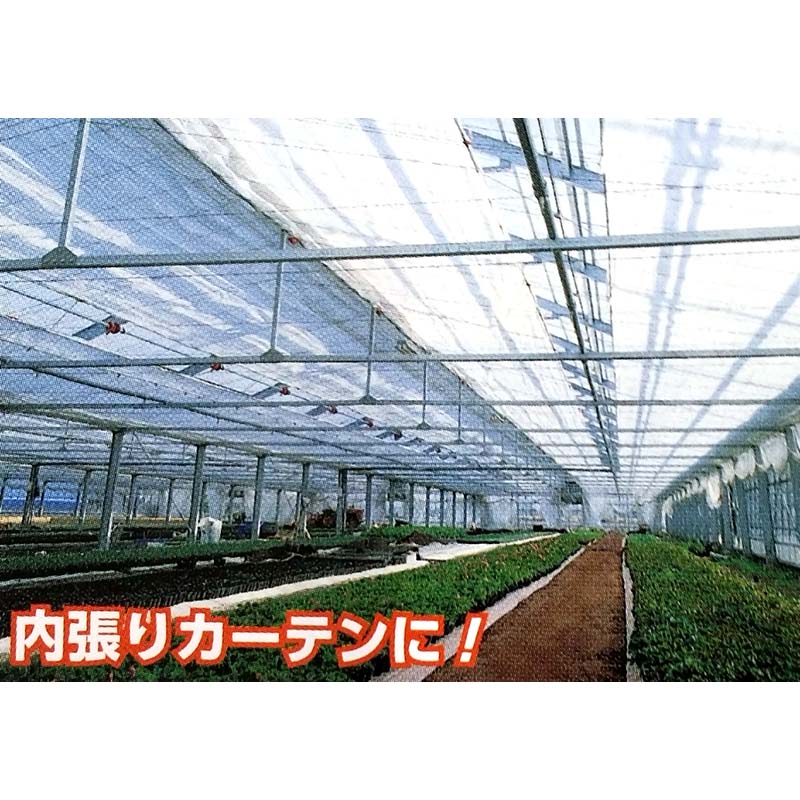 スカイテック スーパーL E01050 幅250cm 長さ100m 内張りカーテン 不織布 タキイ種...