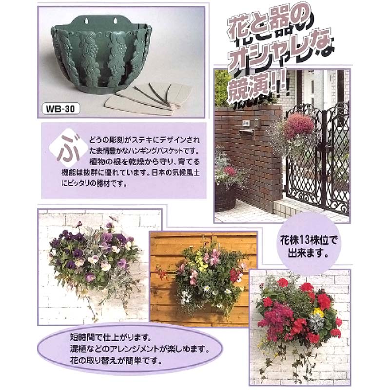 48個 エレガンスバスケット Wb 30 ハンギングバスケット 伊藤商事 タ種 送料無料 代引不可 プラスワイズ業者用専門店 48個 エレガンスバスケット Wb 30 ハンギングバスケット 伊藤商事 タ種 送料無料 代引不可 プラスワイズ業者用専門店