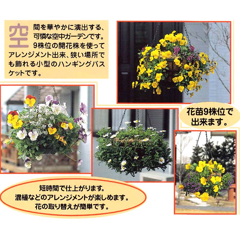 48個 ラブリーバスケット Hb 25 ハンギングバスケット 伊藤商事 タ種 送料無料 代引不可 プラスワイズ業者用専門店 48個 ラブリーバスケット Hb 25 ハンギングバスケット 伊藤商事 タ種 送料無料 代引不可 プラスワイズ業者用専門店