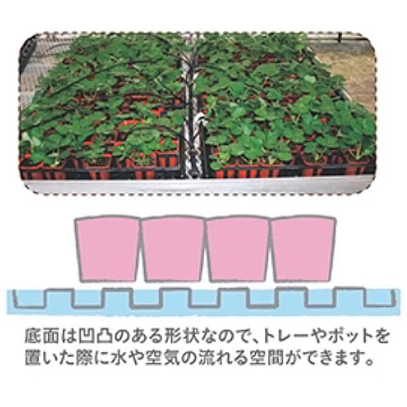 �Ŀ��������Բ� 250�� �ޥ�����̵��ȥ졼 ��������ȥ쥤 �쳤���� ��G ����Բ�