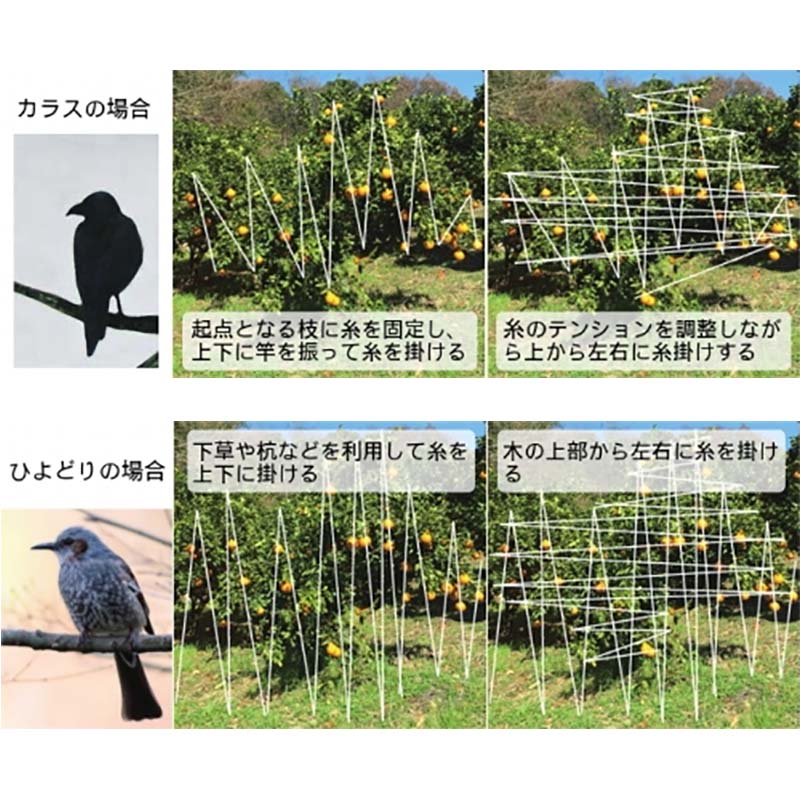 防鳥糸掛け器 実之守 F1 小太郎 一色本店 個人宅配送不可 代引不可