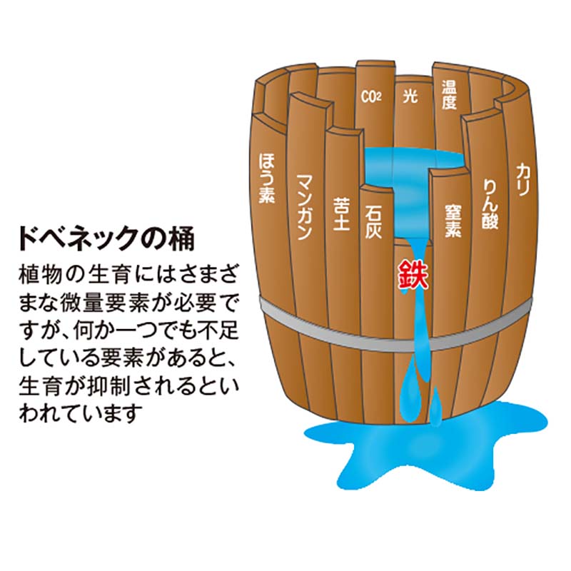 12�� Ŵ�Ϥ����� F14 1L �ߥͥ������ �������� �������Υ��� �������ޥ�륷�꡼�� ���Ŵ�۹� �ⲹ�к� ����¥�� ���������ݤ� ����Բ�