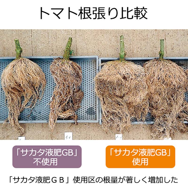 ����������GB 1kg �ⵡǽ���� �������� ������GB �������Υ��� �������ޥ�륷�꡼�� ���ν뤵�к��� DZ