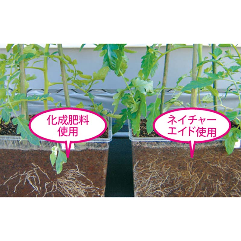 24本 ネイチャーエイド 550g 有機100%液肥 液体肥料 サカタのタネ サカタマモルシ...