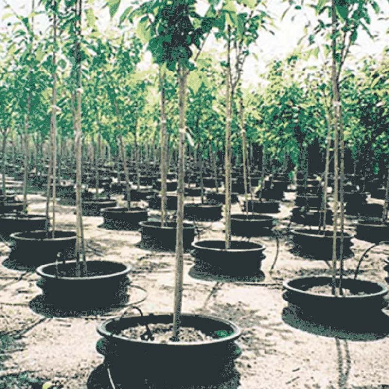 14個 取手付 大型ポット GL-58S 黒 直径578×337mm 容量約77L 穴 ( かど6+底1個 ) ナーセリーサプライズコンテナ グリップリップ 東海化成 京G 代引不可 3