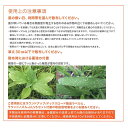 plusysbtob:10021505のサンプル画像3