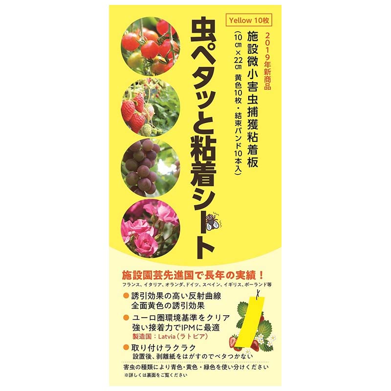 楽天市場】黄色 粘着シート 虫の通販 楽天市場】黄色 粘着シート 虫の通販