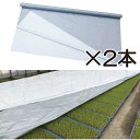 2本 ハイホワイトシルバー 3.0×50m 育苗用シート 水稲用 苗焼け防止 高反射 保温 地温抑制 夜間 保水性 被覆資材 岩谷マテリアル タS 個人宅配送不...