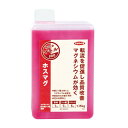 12本 ホスマグ 1L 亜リン酸液肥 液体肥料 サカタのタネ サカタマモルシリーズ 代引不可