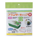 プランターキャップM 2枚入 岩谷マテリアル 国産不織布使用 プランター栽培用 保温カバー 保護カバー 防虫 防鳥 家庭菜園 イワタニ メール便 ネコポス タS...