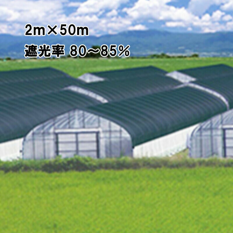 2m×50m 黒 遮光率80〜85％ ワイドスクリーン 遮光ネット BK1012 寒冷紗 日本ワイド...