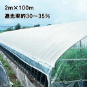 2m × 100m 白 遮光率30～35％ タキイホワイトTW 遮光ネット TW30 寒冷紗 タキイ種苗 タS 代引不可