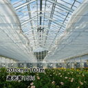 200cm×100m 透明 遮光率約15% ダイオハイブレス 遮光ネット 1500N 寒冷紗 イノベックス サT 北海道不可 個人宅配送不可 代引不可