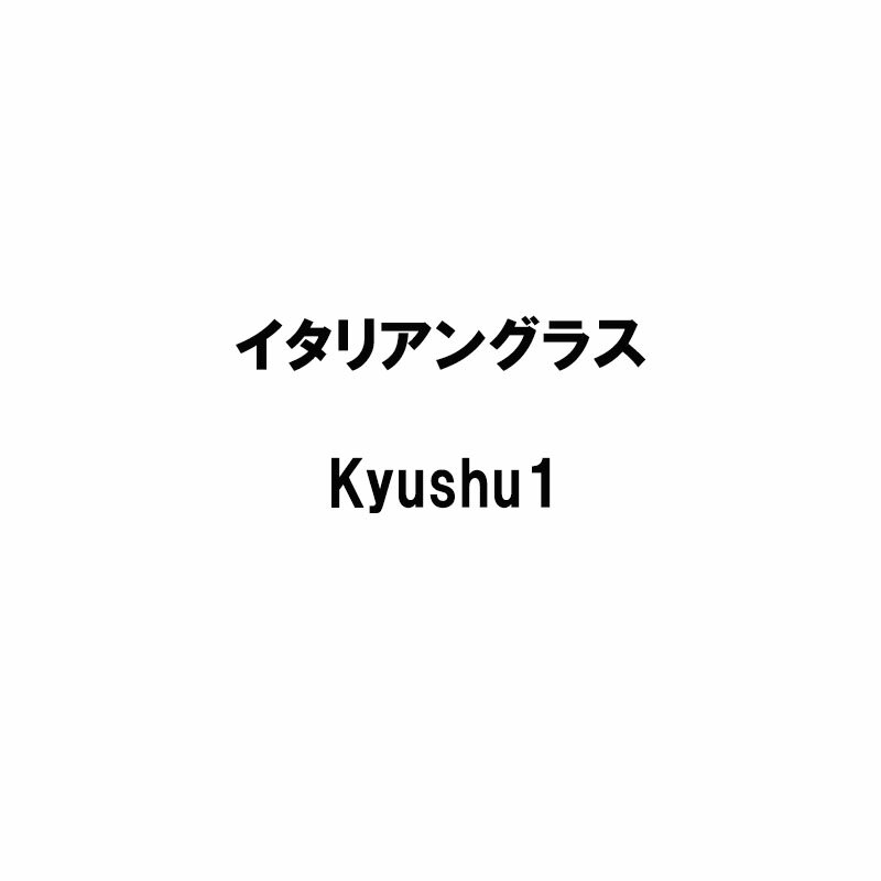 種 10kg イタリアンライグラス Kyushu1 雪印種苗 米S 代引不可 (登録品種名:Kyushu1)