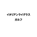 種 14kg イタリアンライグラス ガルフ 緑化用 緑肥 雪印種苗 米S 代引不可 (登録品種名:ガルフ)