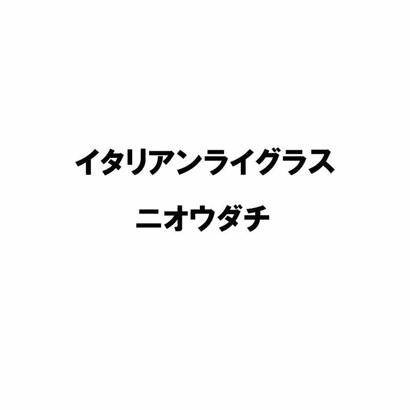  10kg ꥢ饤饹 ˥  S Բ (Ͽʼ̾:˥)