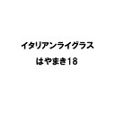 種 20kg PVP イタリアンライグラス はやまき18 雪印種苗 米S 代引不可 (海外持出禁止 登録品種名:はやまき18 農林水産省品種登録:第27423号...