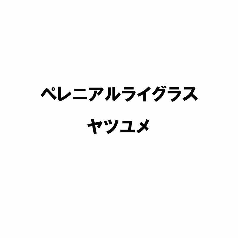 種 5kg PVP ペレニアルライグラス ヤツユメ 晩生 酪農 畜産 雪印種苗 米S 代引不可 (海外持出禁止 登録品種名:ヤツユメ 農林水産省品種登録:第22261号)