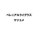 種 5kg PVP ペレニアルライグラス ヤツユメ 晩生 酪農 畜産 雪印種苗 米S 代引不可 (海外持出禁止 登録品種名:ヤツユメ 農林水産省品種登録:第22261号)