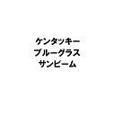 種 20kg ケンタッキーブルーグラス サンビーム 雪印種苗 米S 代引不可 (登録品種名:サンビーム)