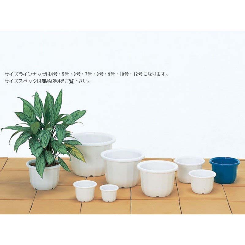 30�� ����ȭ 10�� �ۥ磻�� �ݥå� ȭ �����ؤ� �١����å��ݥå� ��ޥ� ��S �Ŀ��������Բ� ����Բ� ����