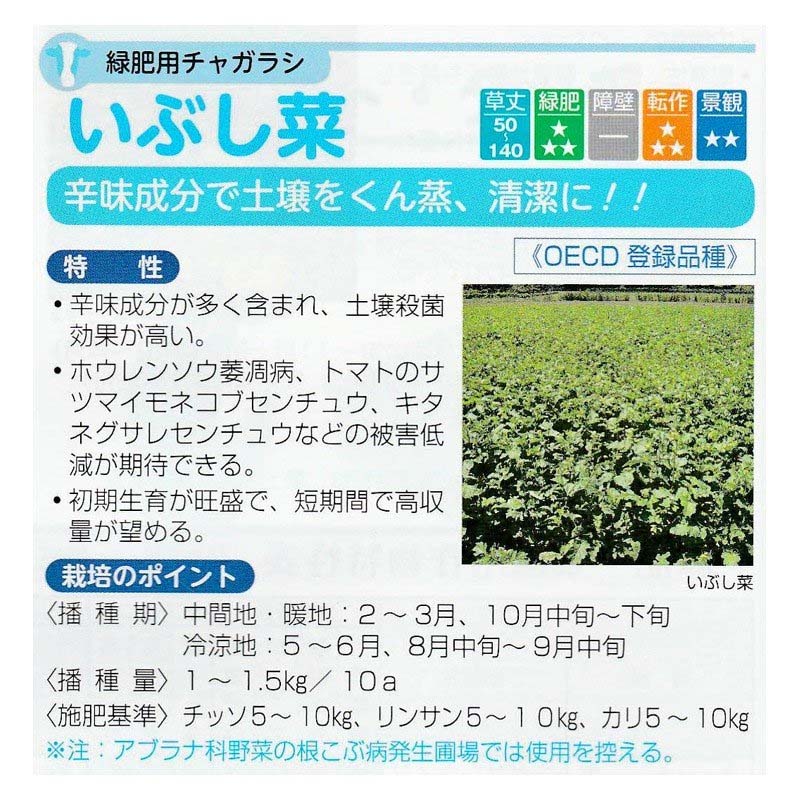 種 1kg 緑肥用チャガラシ いぶし菜 緑肥作物 その他 酪農 畜産 緑肥 牧草 タキイ種...
