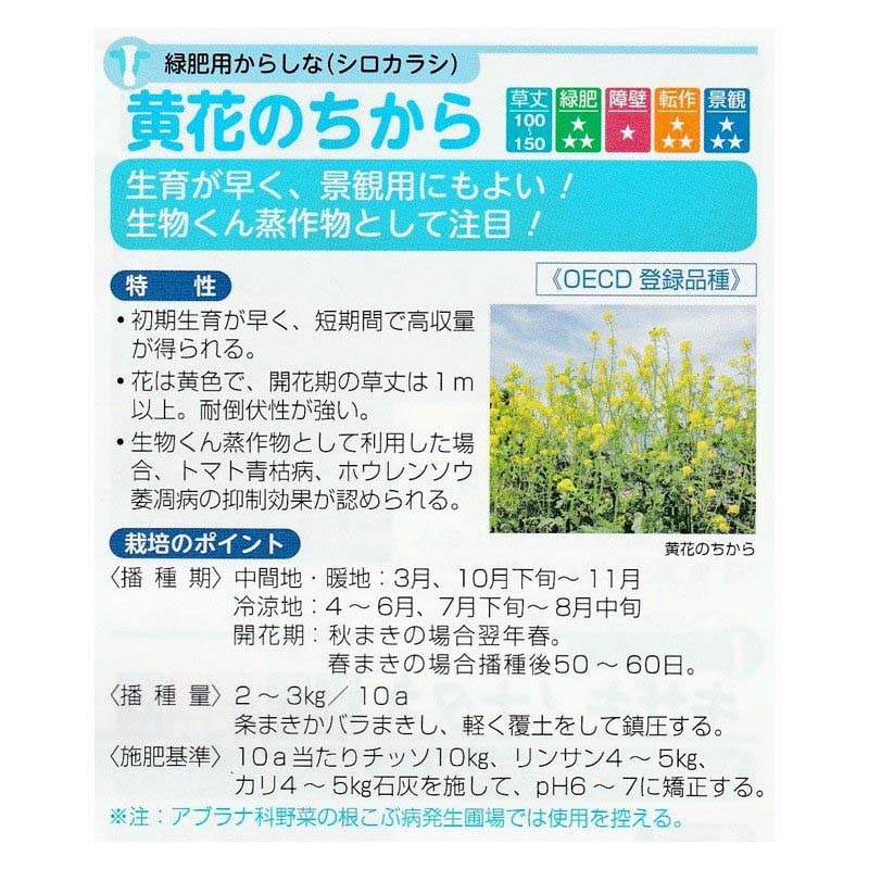 �� 1kg �����Ѥ��餷�ʥ������饷 ���֤Τ����� �����ʪ ����¾ ���� �ܻ� ���� ���� ���餷�� �������饷 ���������� ��S ����Բ� (��Ͽ�ʼ�̾:���֤Τ�����)