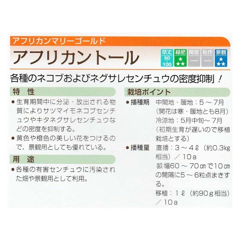楽天市場 種 1l アフリカンマリーゴールド アフリカントール 緑肥作物 春まき主体 景観用 タキイ種苗 米s 代引不可 プラスワイズ業者用専門店