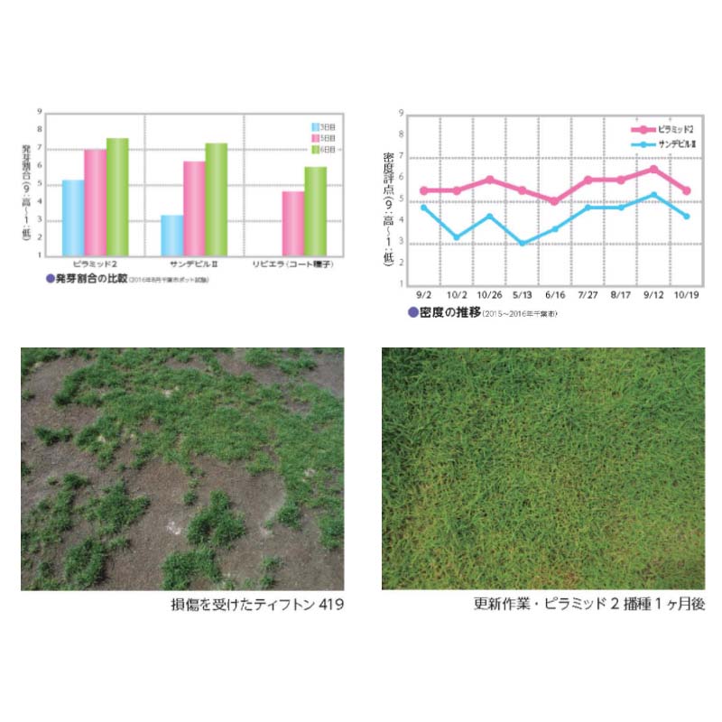 �� 20kg �Хߥ塼�����饹 �ԥ�ߥå�2 ������� ��S ����Բ� (��Ͽ�ʼ�̾:�ԥ�ߥå�2)