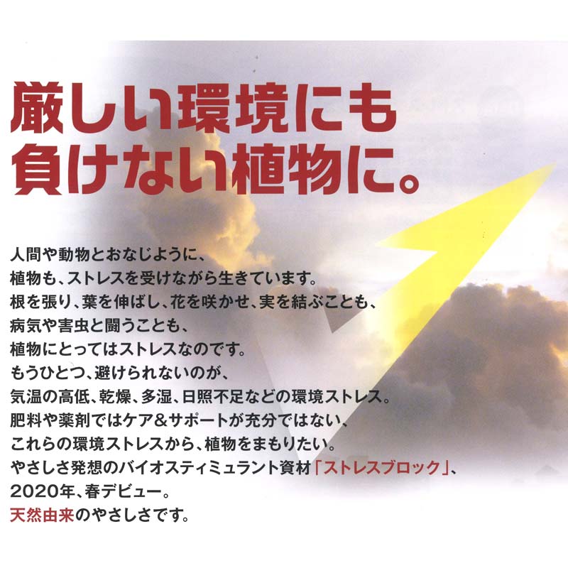 40�� ���ȥ쥹�֥��å� 500ml �Х������ƥ��ߥ���Ȼ�� HYPONeX �ϥ��ݥͥå��� ���ȥ쥹���� ���� �������� ͭ�������б� �ھ����� ��S ����Բ�