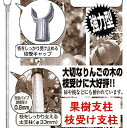 10本 枝受け支柱 果樹支柱 直径33×1500mm シンセイ 個人宅配送不可 代引不可