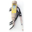 突刺し型 土壌 pHメーター pH1.0~13.0 分解能0.01pH pHテスターソイル 竹村電機製作所 カ施 代引不可