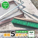 播種5点セット CP250 1粒LL-小 チェーンポット チェーンポット CP253 BP253 用 播種セット 種まき ニッテン 日本甜菜製糖 タS 個人宅配...