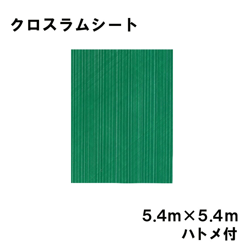 クロスラムシート 5.4 m×5.4 m ハトメ付 養生シート カ施 個人宅配送不可 代引不可