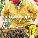 ミツバチ 受粉用 ミツバチボーヤ3000 短期 交配用 女王蜂なし 蜜蜂 3000匹 花粉 交配 授粉 蜂 スイカ メロン ピーマン ナス イチゴ 西岡養蜂園 ...